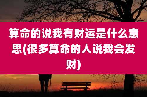 算命的说我有财运是什么意思(很多算命的人说我会发财)