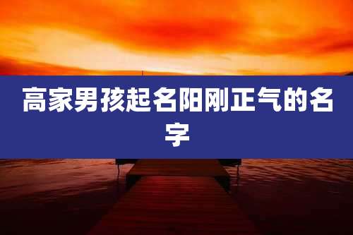 高家男孩起名阳刚正气的名字