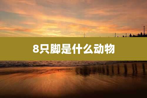 8只脚是什么动物