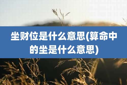 坐财位是什么意思(算命中的坐是什么意思)