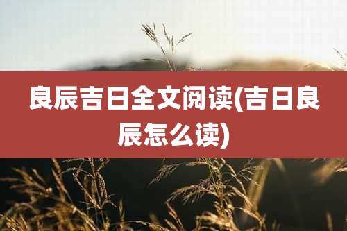 良辰吉日全文阅读(吉日良辰怎么读)