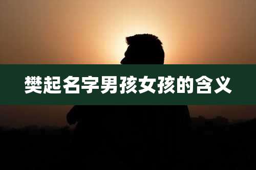 樊起名字男孩女孩的含义