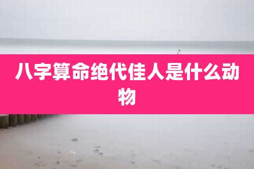 八字算命绝代佳人是什么动物