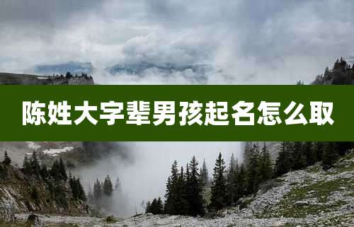 陈姓大字辈男孩起名怎么取