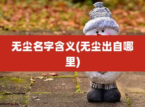 无尘名字含义(无尘出自哪里)