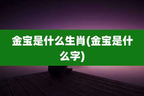 金宝是什么生肖(金宝是什么字)