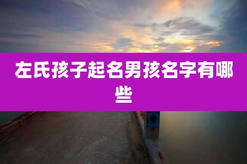 左氏孩子起名男孩名字有哪些