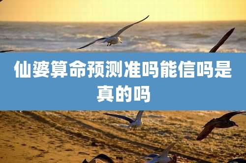 仙婆算命预测准吗能信吗是真的吗