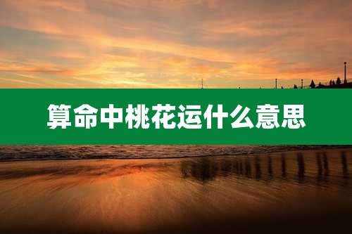 算命中桃花运什么意思