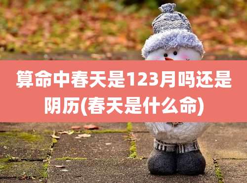 算命中春天是123月吗还是阴历(春天是什么命)