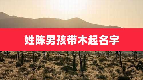 姓陈男孩带木起名字