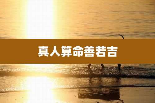 真人算命善若吉