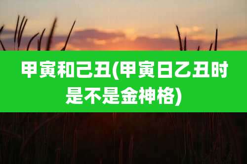 甲寅和己丑(甲寅日乙丑时是不是金神格)