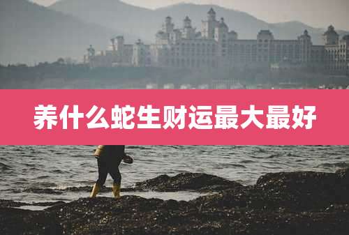 养什么蛇生财运最大最好