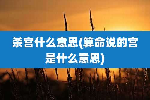 杀宫什么意思(算命说的宫是什么意思)