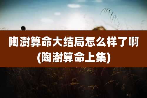 陶澍算命大结局怎么样了啊(陶澍算命上集)