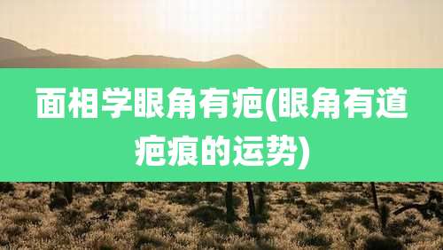 面相学眼角有疤(眼角有道疤痕的运势)