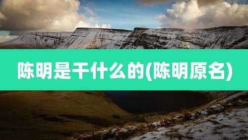 陈明是干什么的(陈明原名)