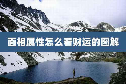 面相属性怎么看财运的图解