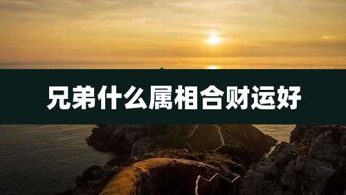 兄弟什么属相合财运好