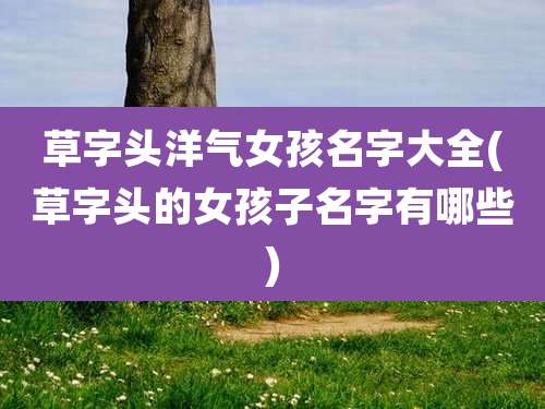 草字头洋气女孩名字大全(草字头的女孩子名字有哪些)