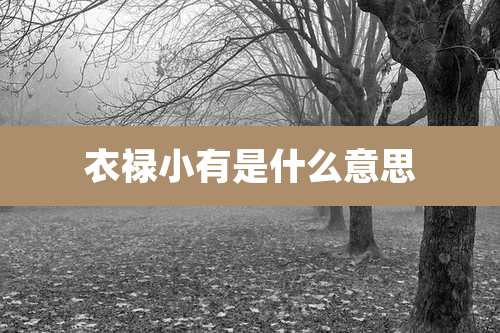 衣禄小有是什么意思