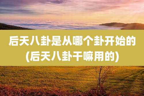 后天八卦是从哪个卦开始的(后天八卦干嘛用的)
