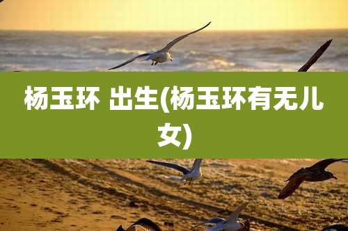 杨玉环 出生(杨玉环有无儿女)