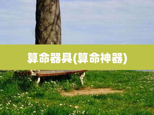 算命器具(算命神器)