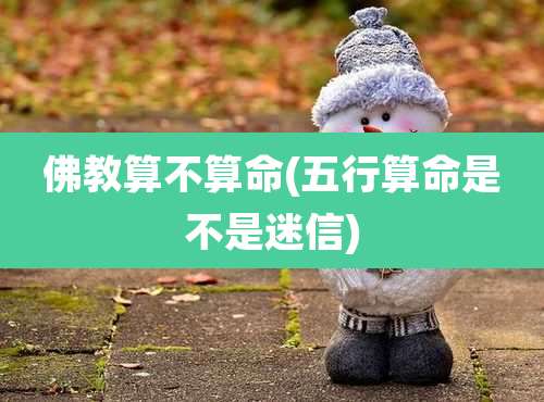 佛教算不算命(五行算命是不是迷信)