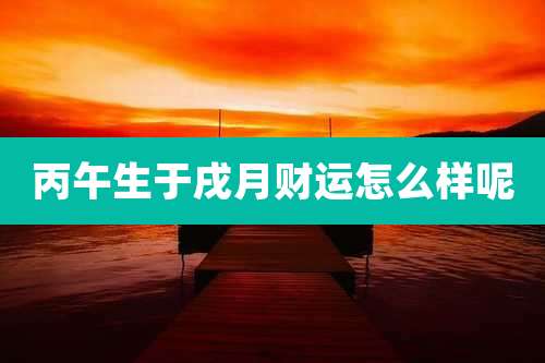 丙午生于戌月财运怎么样呢