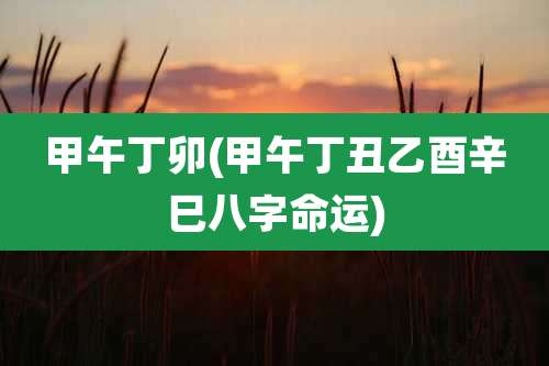 甲午丁卯(甲午丁丑乙酉辛巳八字命运)