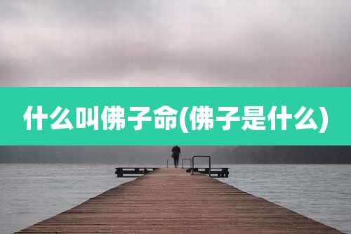 什么叫佛子命(佛子是什么)