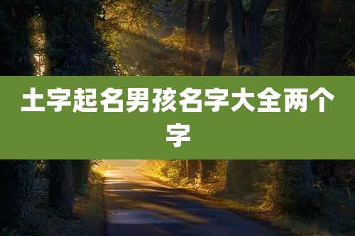 土字起名男孩名字大全两个字