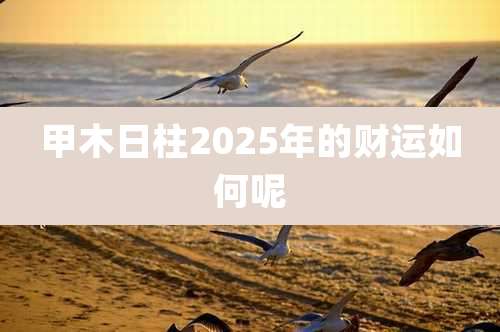 甲木日柱2025年的财运如何呢