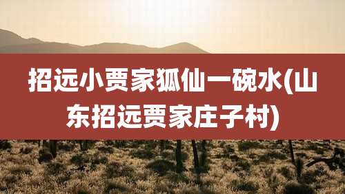 招远小贾家狐仙一碗水(山东招远贾家庄子村)