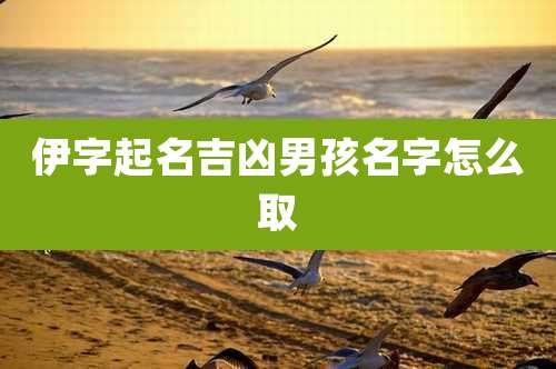 伊字起名吉凶男孩名字怎么取