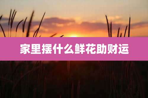 家里摆什么鲜花助财运