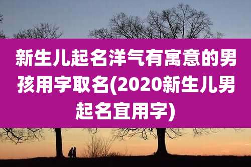 新生儿起名洋气有寓意的男孩用字取名(2020新生儿男起名宜用字)