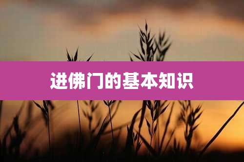 进佛门的基本知识