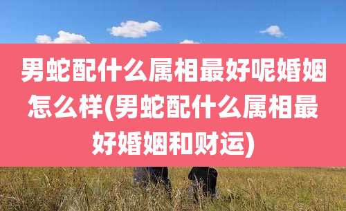 男蛇配什么属相最好呢婚姻怎么样(男蛇配什么属相最好婚姻和财运)