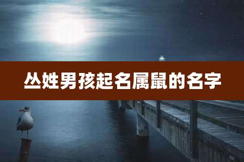 丛姓男孩起名属鼠的名字