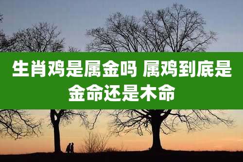 生肖鸡是属金吗 属鸡到底是金命还是木命