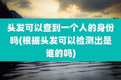 头发可以查到一个人的身份吗(根据头发可以检测出是谁的吗)