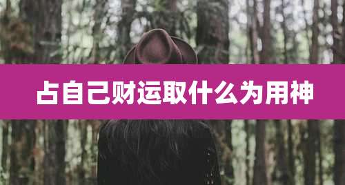 占自己财运取什么为用神