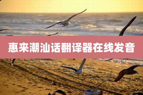 惠来潮汕话翻译器在线发音