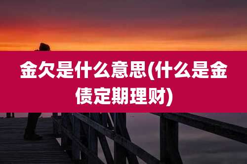 金欠是什么意思(什么是金债定期理财)