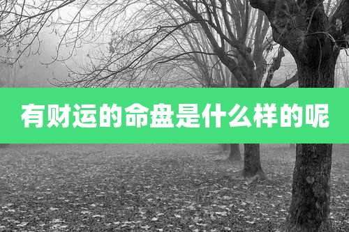 有财运的命盘是什么样的呢