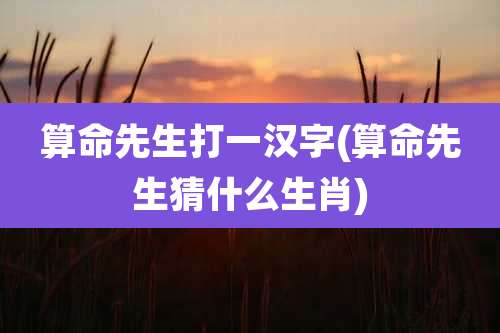 算命先生打一汉字(算命先生猜什么生肖)
