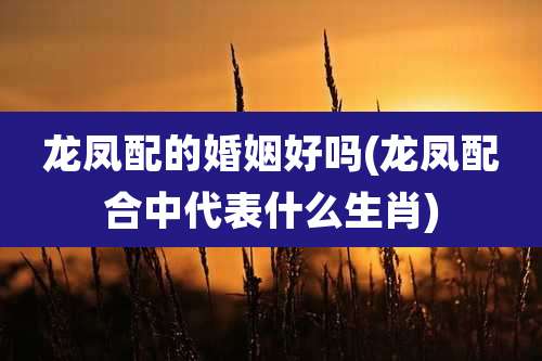 龙凤配的婚姻好吗(龙凤配合中代表什么生肖)